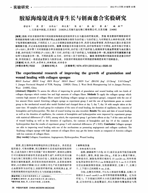 胶原海绵促进肉芽生长与创面愈合实验研究