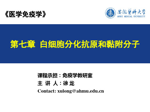 CD和黏附分子