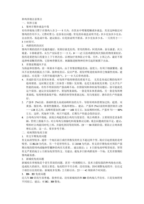 种鸡养殖注意要点