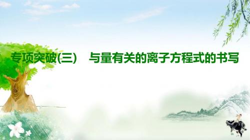 2020年高考化学专项突破3 与量有关的离子方程式的书写