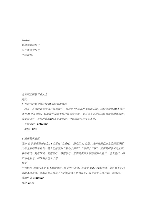 加油站的可行性研究报告(全文)