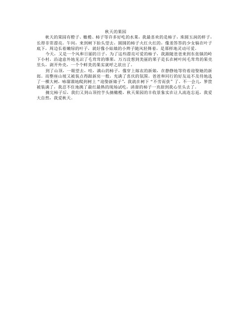 秋天的柿子