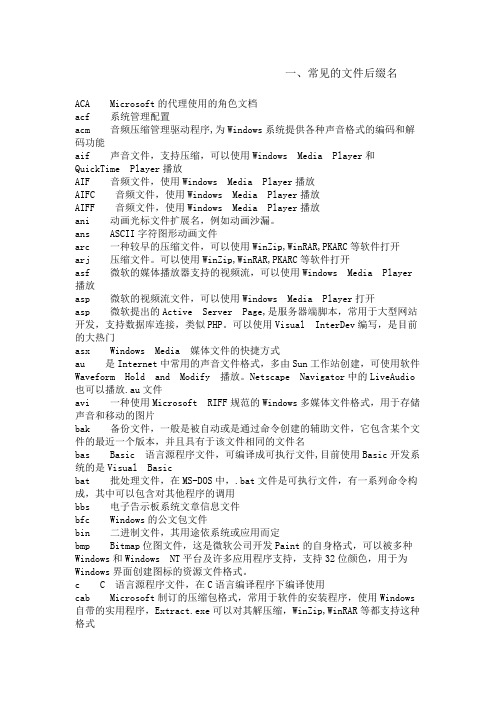 常见的文件后缀名