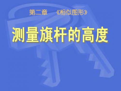 北师大版数学八年级下册4.7测量旗杆的高度