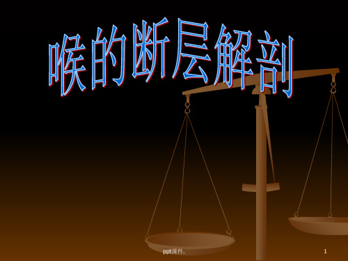 喉的CT解剖ppt课件