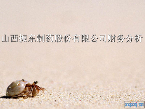振东制药财务分析 (1)