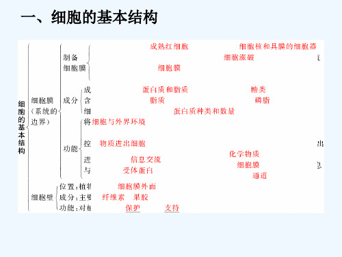 细胞结构知识框架 PPT