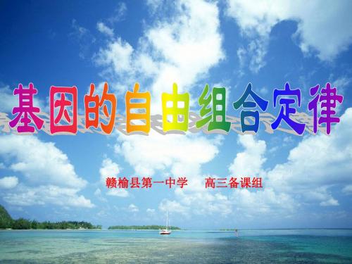 人教版教学课件第二节基因自由组合定律
