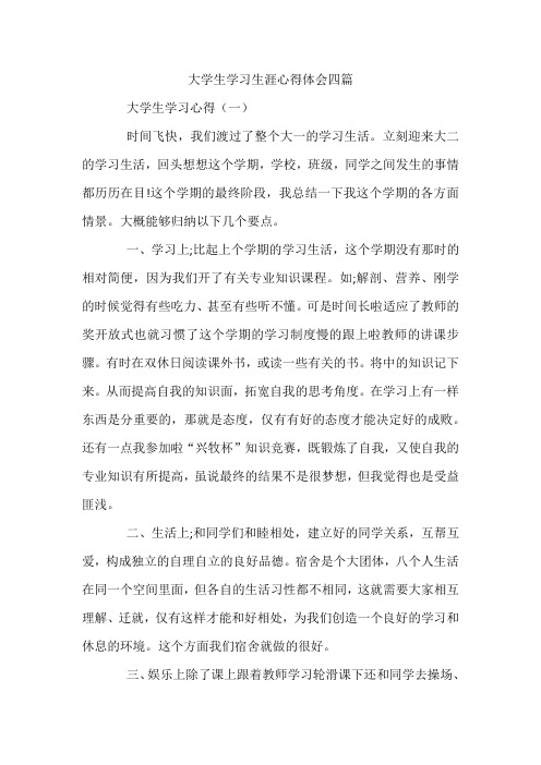 大学生学习生涯心得体会四篇