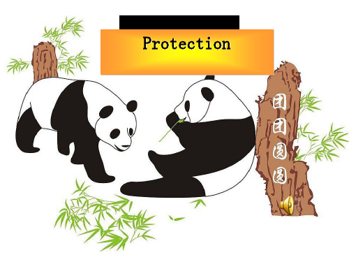 高中英语必修二第四单元 PPT 课件