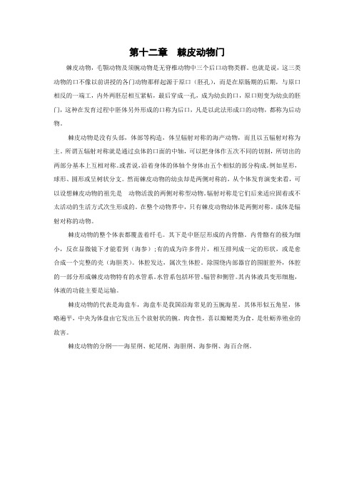 棘皮动物门