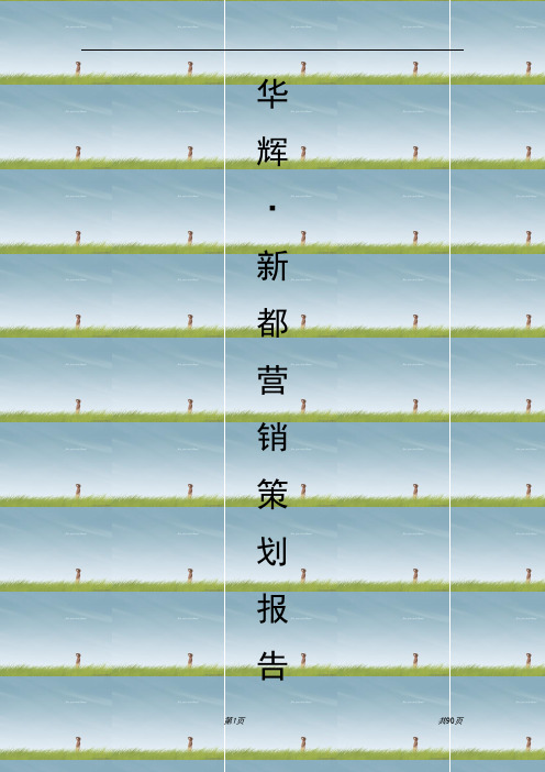 新都营销策划报告