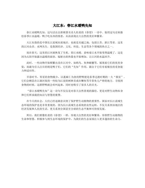 大江东：春江水暖鸭先知