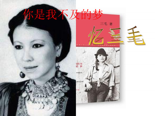 高中学生研究性学习成果展示(113)：你是我不及的梦
