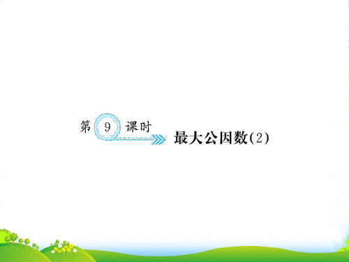 人教部编版五年级数学下册 第9课时 最大公因数(2)-习题课件