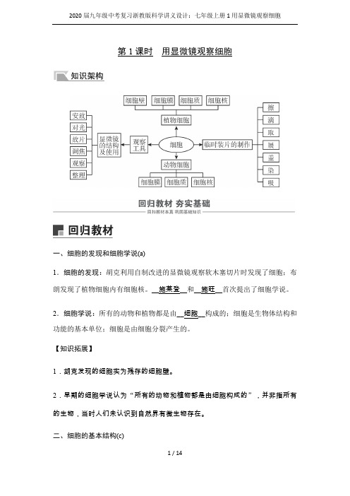 2020届九年级中考复习浙教版科学讲义设计：七年级上册1用显微镜观察细胞
