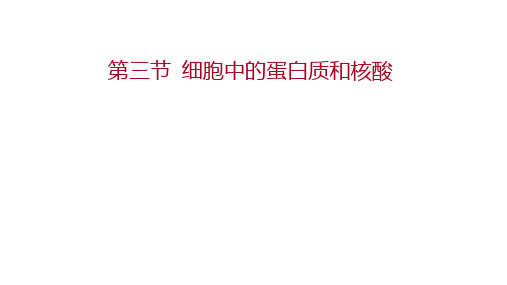 1.3细胞中的蛋白质和核酸课件 2020-2021学年高一上学期 生物苏教版(2019) 必修一