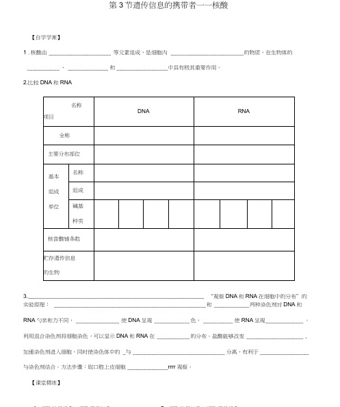 高中生物2.3《遗传信息的携带者核酸》学案新人教版必修1