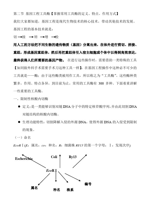 第二节 基因工程工具酶