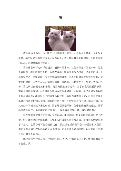 人教部编版 科学 三年级 素材：猫
