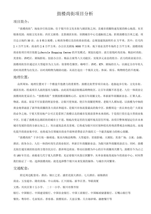 项目分析