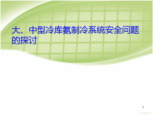《氨制冷安全性》PPT课件