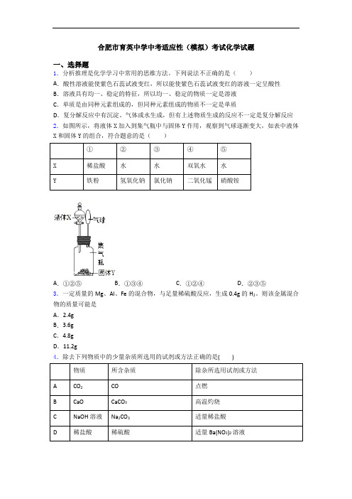 合肥市育英中学中考适应性(模拟)考试化学试题