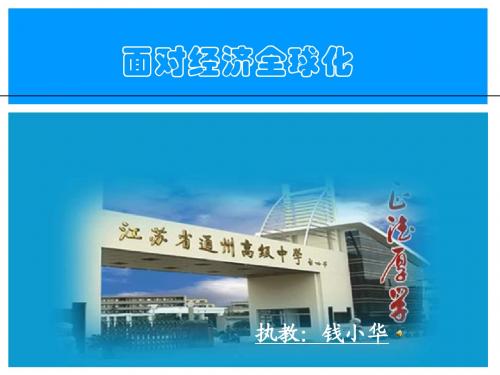 高一政治面对经济全球化