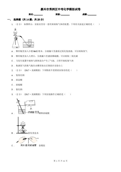 嘉兴市秀洲区中考化学模拟试卷