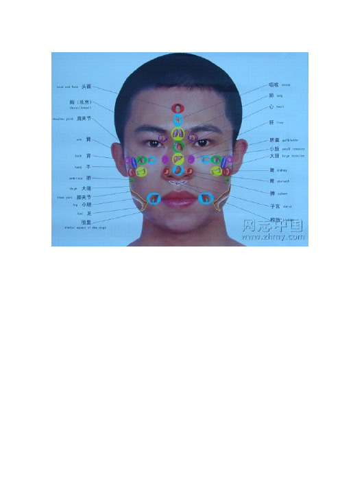 最全的人体全息图