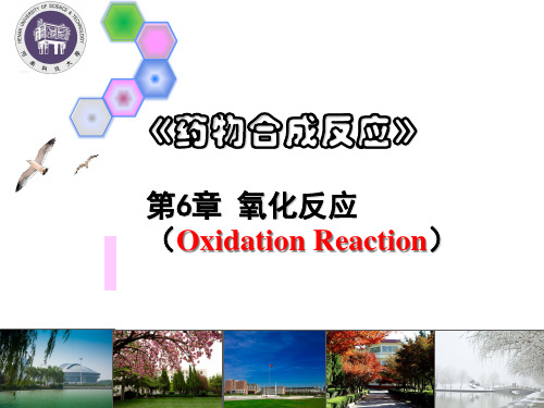 药物合成反应-7氧化反应