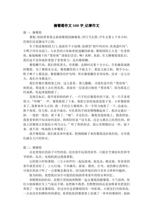 摘葡萄作文500字_记事作文