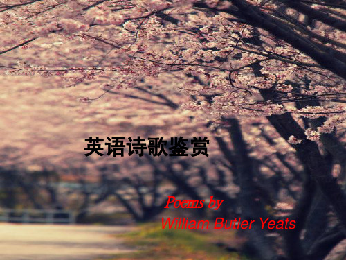 叶芝 当你老了