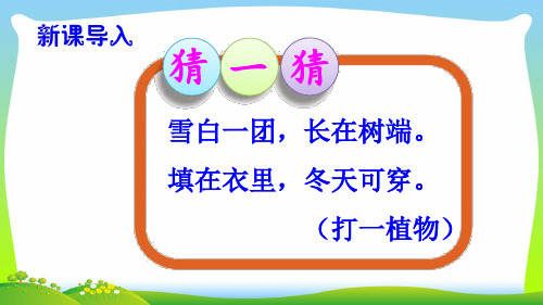 人教部编版一年级下册语文课件-19 棉花姑娘(共37张PPT).ppt
