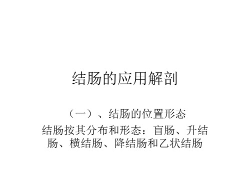结肠的应用解剖