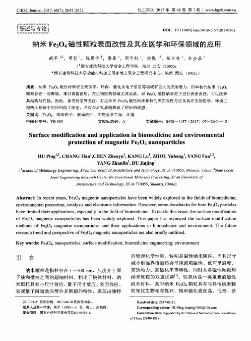 纳米Fe3O4磁性颗粒表面改性及其在医学和环保领域的应用