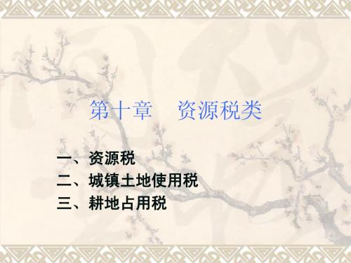 第五章 资源税类