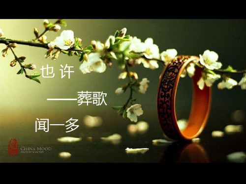 也许——葬歌
