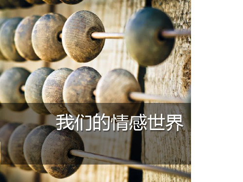 《我们的情感世界》PPT-模板