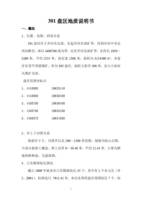 301盘区地质说明书