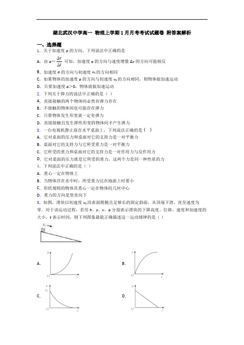 湖北武汉中学高一 物理上学期1月月考考试试题卷 附答案解析
