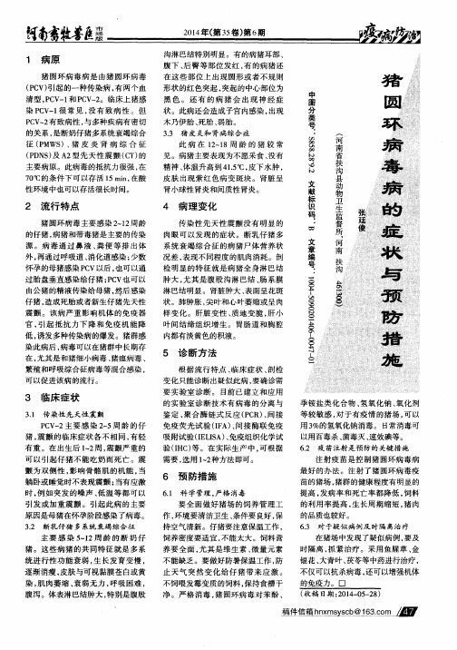 猪圆环病毒病的症状与预防措施