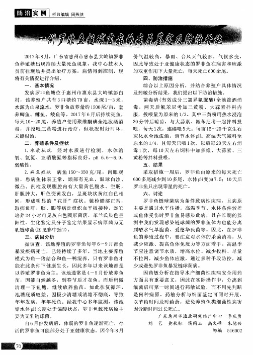 一例罗非鱼链球菌病的病原鉴定及防治措施