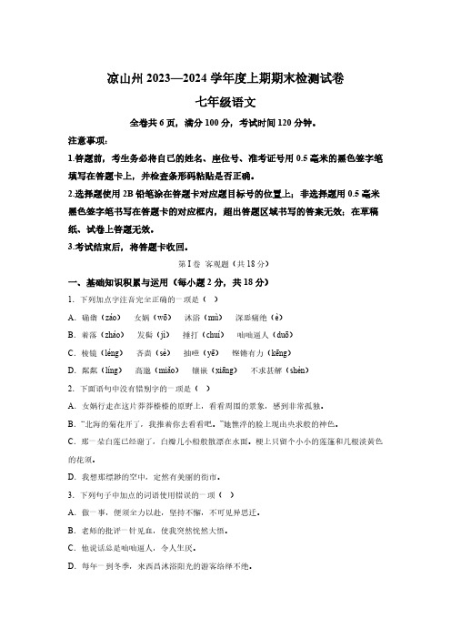 四川省凉山州2023-2024学年七年级上期期末语文试题(含解析)