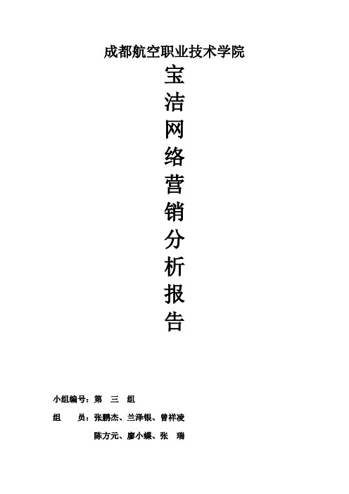 宝洁网络营销分析报告