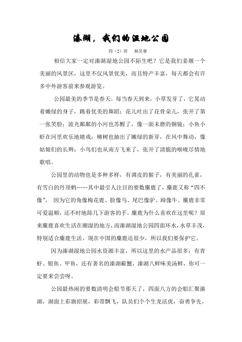 溱湖,我们的湿地公园