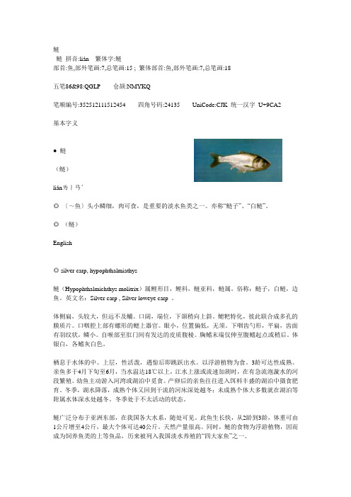 鲢鱼