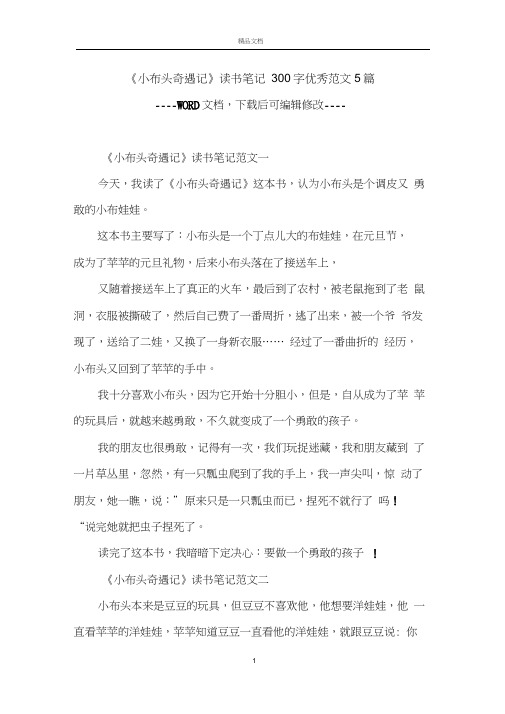 《小布头奇遇记》读书笔记300字优秀范文5篇