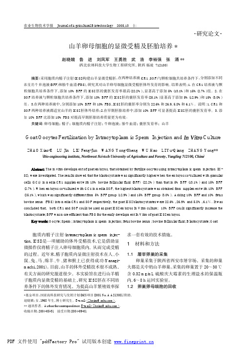 山羊卵母细胞的显微受精及其培养