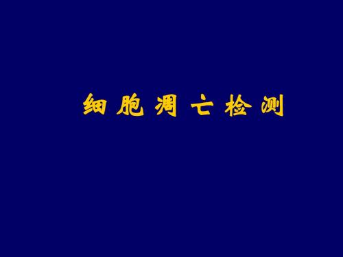 细 胞 凋 亡 检 测